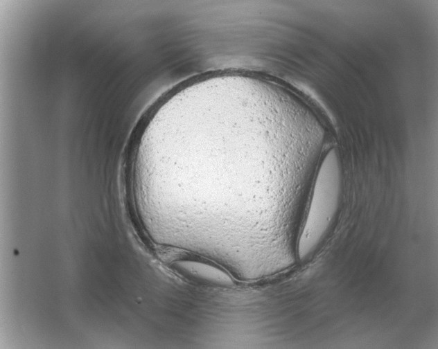 X0000065970983200603311834