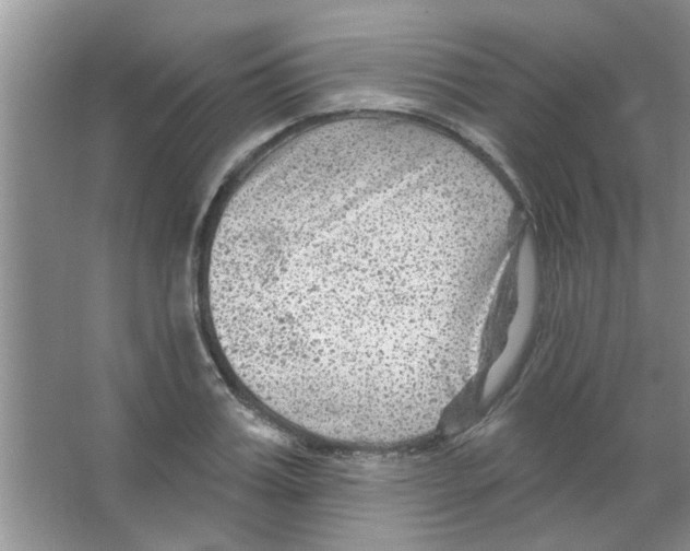 X0000065970987200603311834