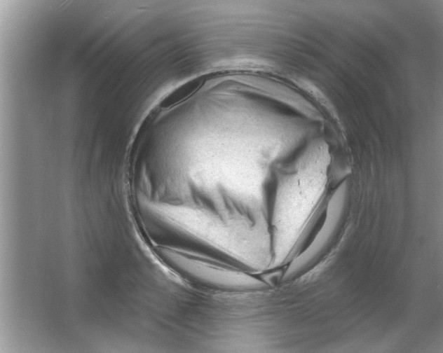 X0000065970989200603311834