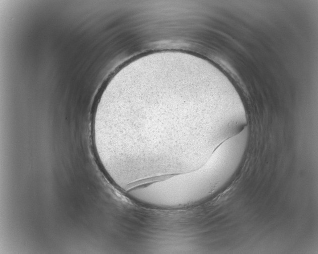 X0000065970992200603311834