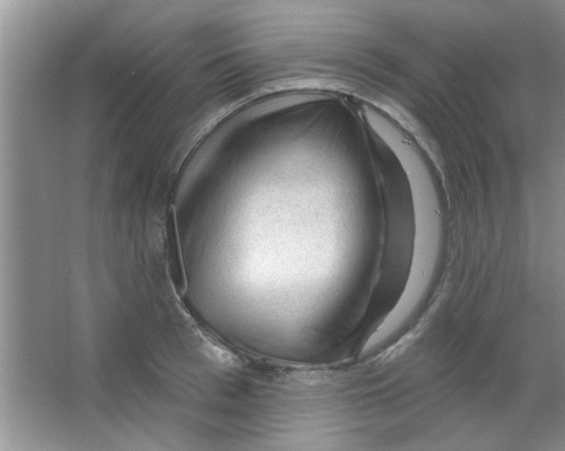 X0000065970993200603311834