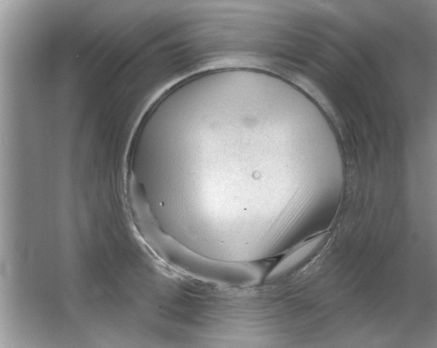 X0000065970996200603311834