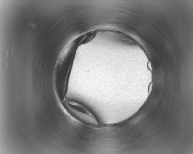 X0000065970999200603311834