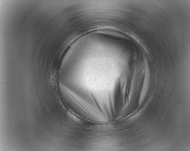 X0000065971001200603311834