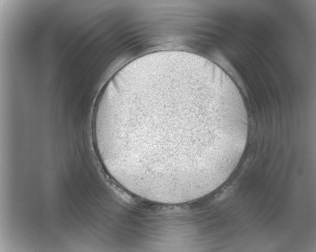 X0000065971002200603311834