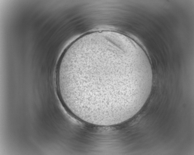 X0000065971003200603311834