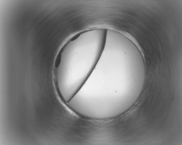 X0000065971005200603311834