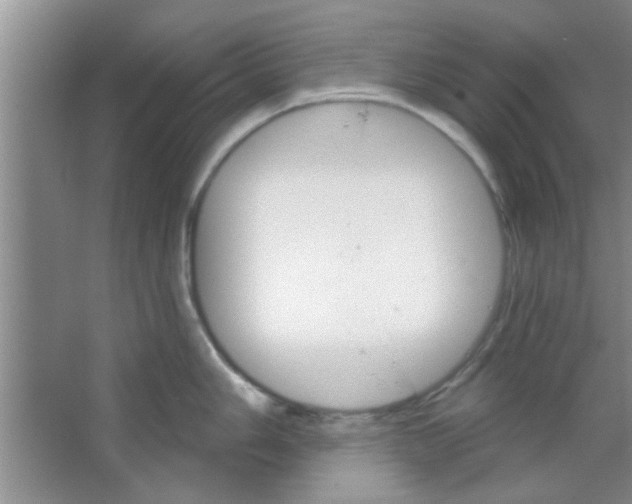 X0000065971006200603311834