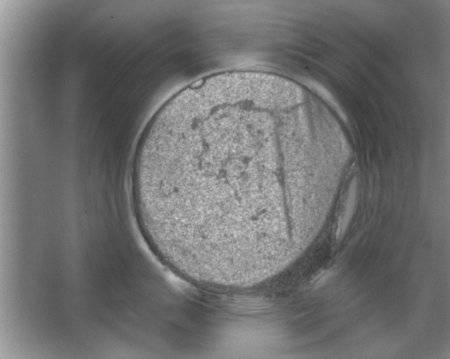 X0000065971007200603311834