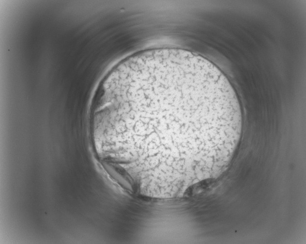 X0000065971008200603311834