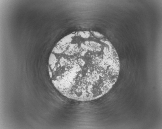 X0000065971009200603311833