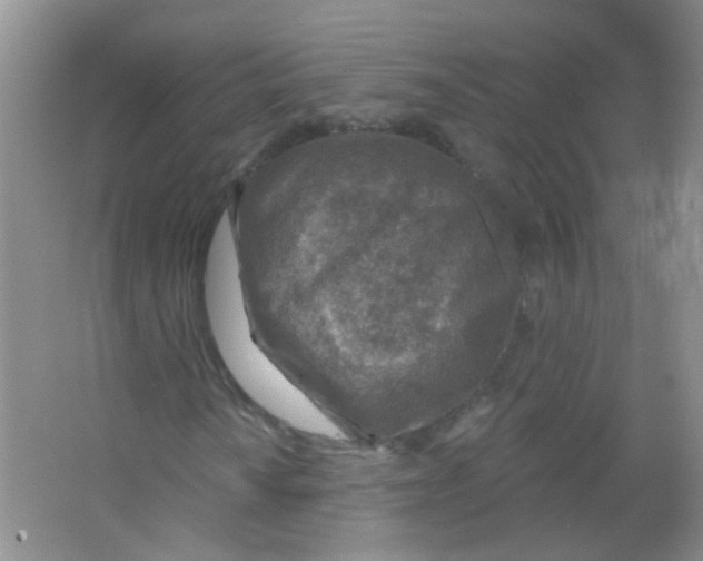 X0000065971010200603311833