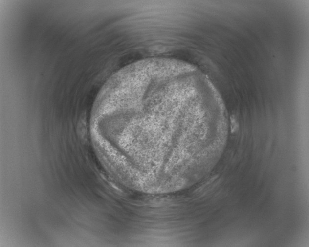 X0000065971011200603311833