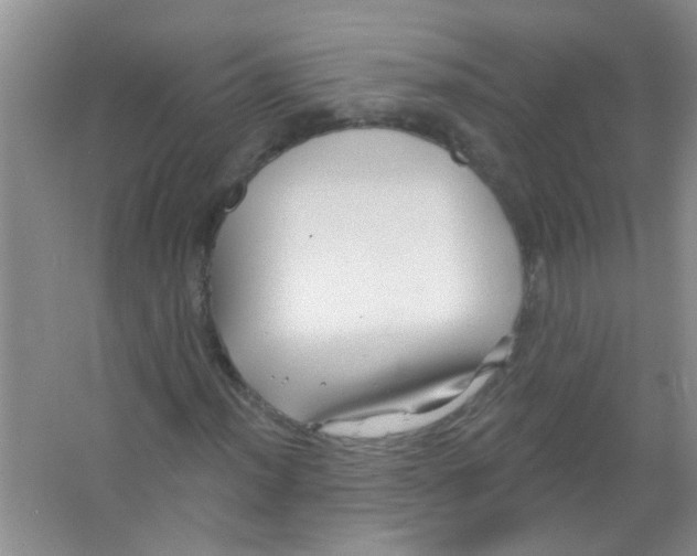 X0000065971012200603311833