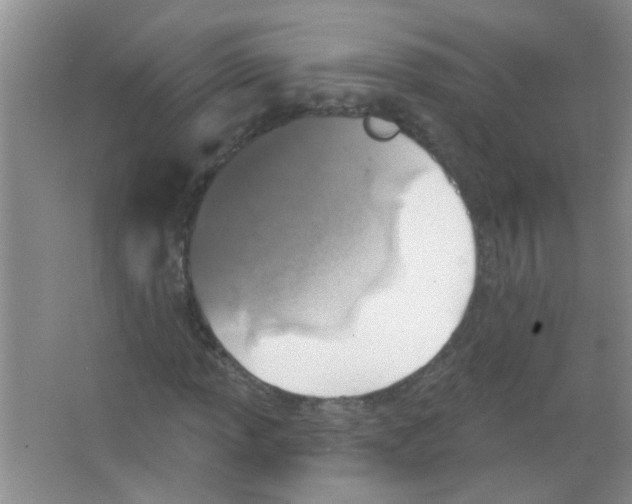 X0000065971013200603311833