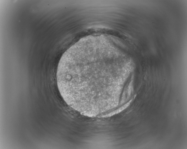 X0000065971014200603311833