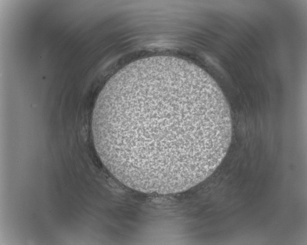 X0000065971015200603311833