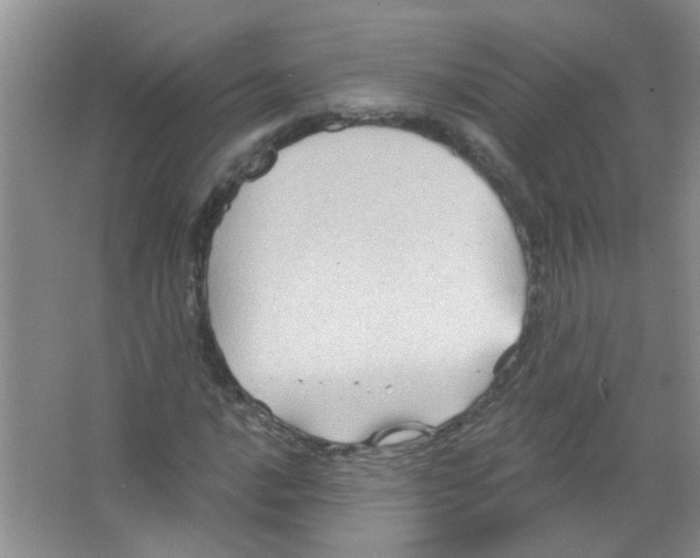 X0000065971016200603311833