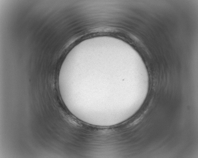 X0000065971017200603311833