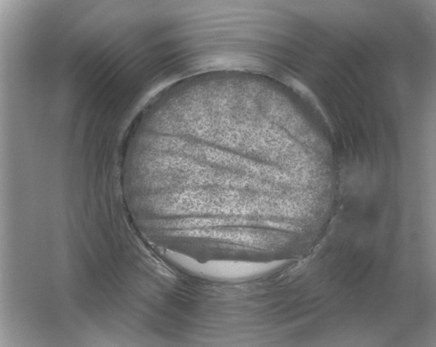 X0000065971019200603311833