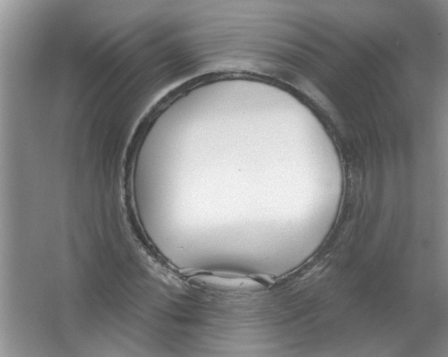 X0000065971020200603311833