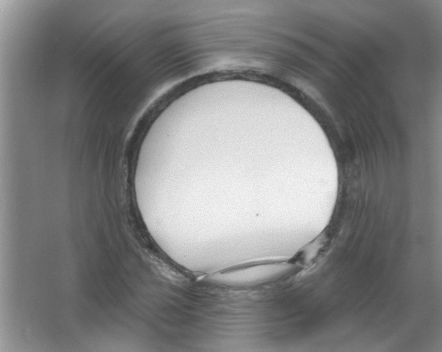 X0000065971021200603311833