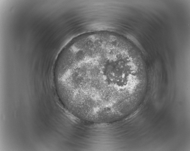 X0000065971023200603311833