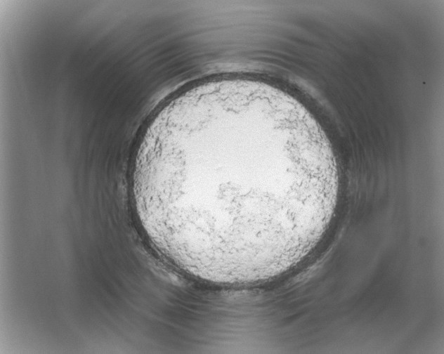 X0000065971025200603311833