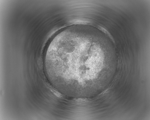 X0000065971027200603311833