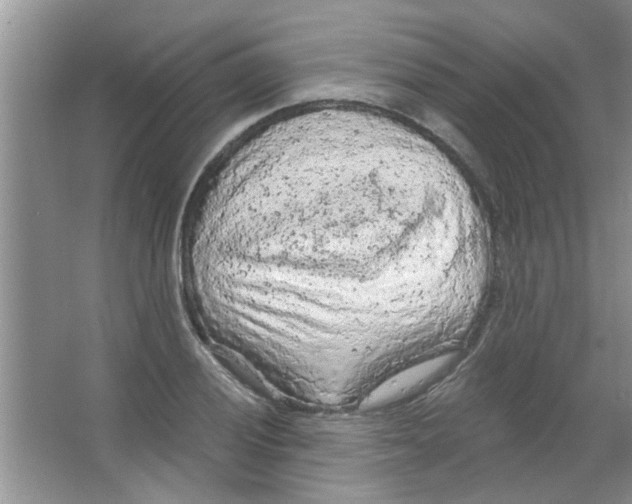 X0000065971028200603311833