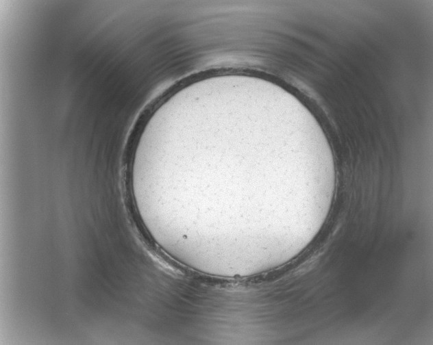 X0000065971029200603311833