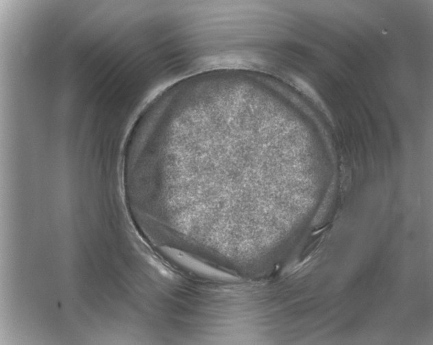 X0000065971035200603311833