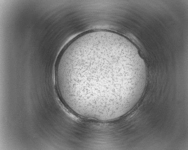 X0000065971036200603311833