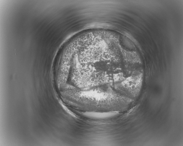 X0000065971037200603311833