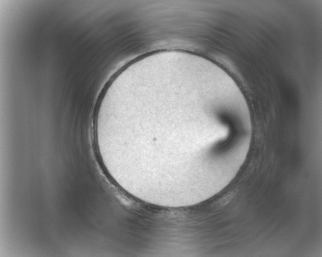 X0000065971040200603311833