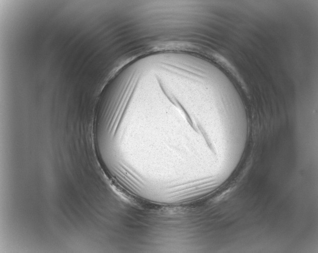 X0000065971041200603311833