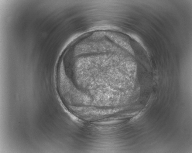 X0000065971046200603311833