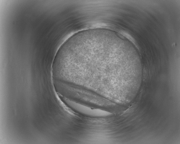 X0000065971047200603311833