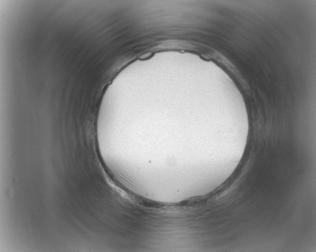 X0000065971049200603311834