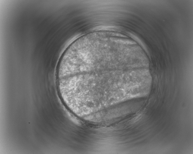 X0000065971050200603311834