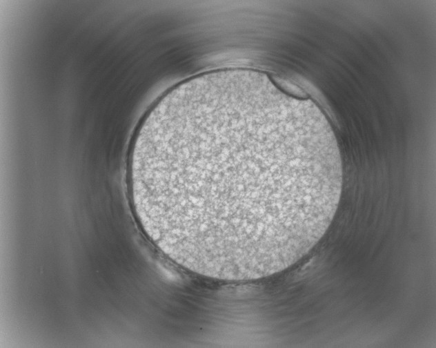 X0000065971051200603311834