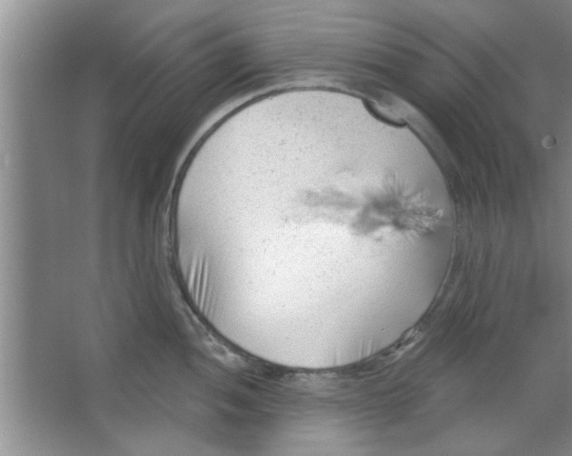 X0000065971052200603311834