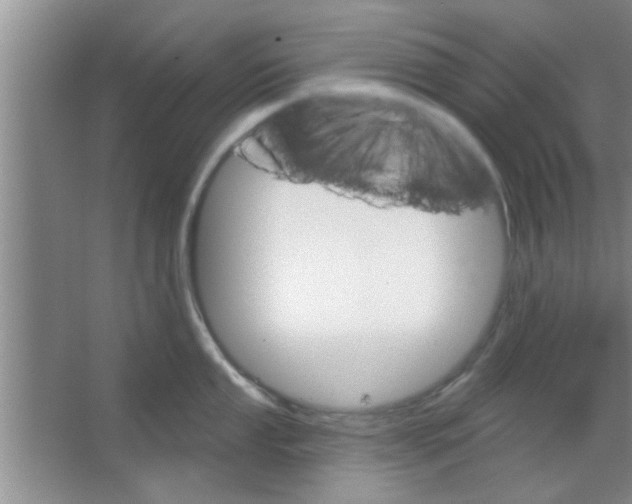 X0000065971053200603311834