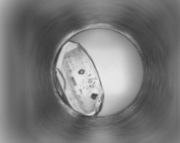 X0000065971054200603311834