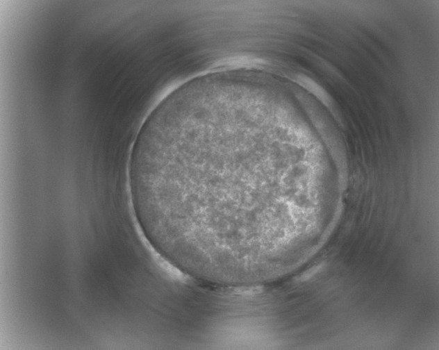 X0000065971055200603311834