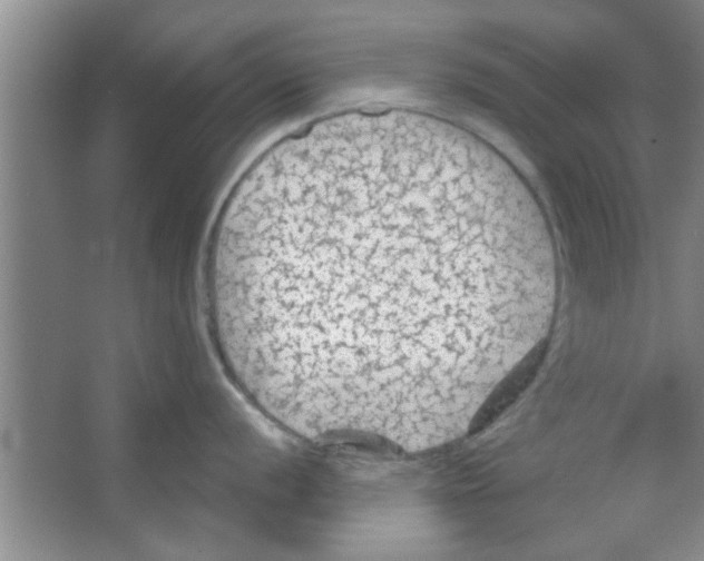 X0000065971056200603311834