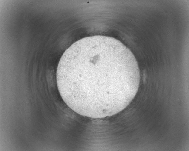 X0000065971059200603311833