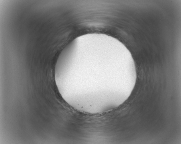 X0000065971061200603311833