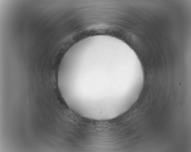 X0000065971062200603311833