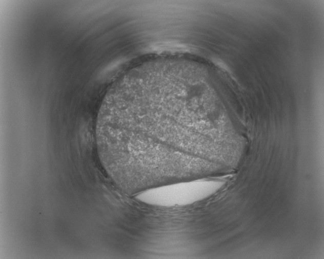 X0000065971063200603311833